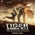 Tiger Zinda Hai - Theme Song