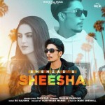 Sheesha - Shehzad