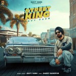 Street King - Gavy Varn