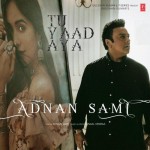 Tu Yaad Aya - Adnan Sami