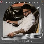 Drip Too Hard - Navaan Sandhu