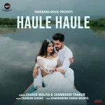 Haule Haule - Shahid Mallya