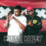 Kuley Kuley - Yo Yo Honey Singh