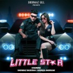 Little Star - Shehbaz Badesha