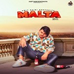 Malta - Amit Saini Rohtakiya mp3 songs