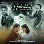 Mohabbat Ke Kabil Na Mere - Salman Ali