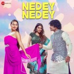 Nedey Nedey - Vivek Nambiar