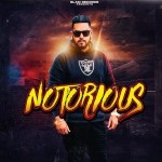 Notorious - Dsp