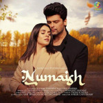 Numaish - Altamash Faridi