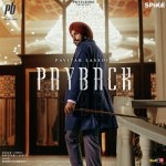 PAYBACK - Pavitar Lassoi