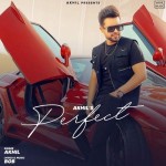 Perfect - Akhil