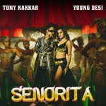 Senorita - Tony Kakkar