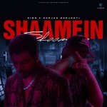 Shaamein - King