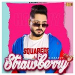 Strawberry - G Haarvy