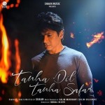 Tanha Dil Tanha Safar - Shaan