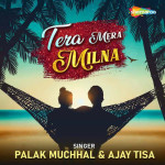 Tera Mera Milna - Palak Muchhal mp3 songs