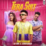 Tera Suit - Tony Kakkar