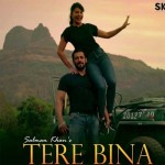 Tere Bina - Salman Khan