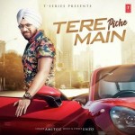 Tere Piche Main - Amitoz