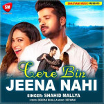 Tere Bin Jeena Nahi (Hindi) - Shahid Mallya