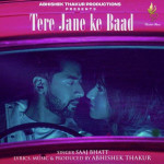 Tere Jane Ke Baad - Saaj Bhatt