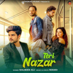 Teri Nazar - Salman Ali