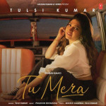 Tu Mera - Tulsi Kumar