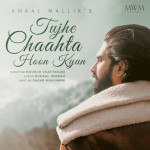 Tujhe Chaahta Hoon Kyun - Amaal Malik