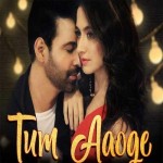 Tum Aaoge - Soham Naik mp3 songs