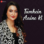 Tumhein Aaine Ki - Meet Bros mp3 songs