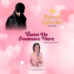 Tumm Ho Soulmate Mere - Nishtha Sharma