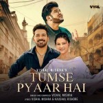 Tumse Pyaar Hai - Vishal Mishra