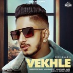 Vekhle - Soni Saab