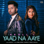 Yaad Na Aaye - Akull