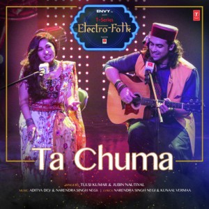 T-Series Electro Folk mp3 songs