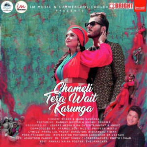 Chameli Tera Wait Karunga - Shaan mp3 songs