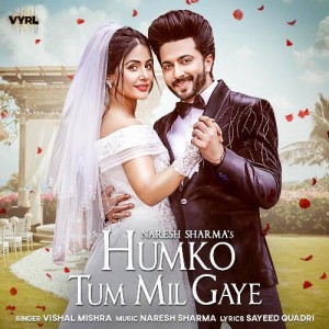 Humko Tum Mil Gaye - Vishal Mishra mp3 songs