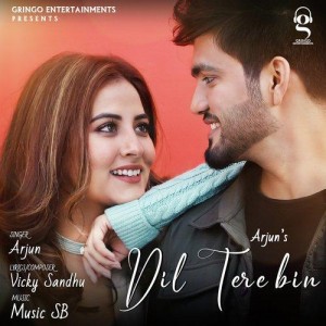 Dil Tere Bin - Arjun mp3 songs