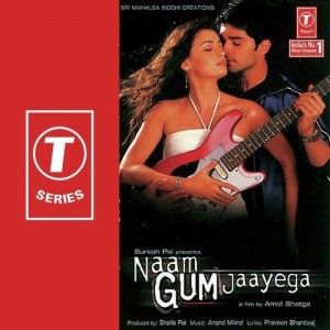 Hamein Tumse Hai Pyar (Instrum