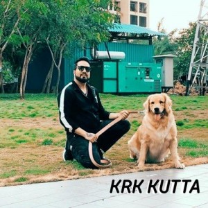 Krk Kutta - Mika Singh