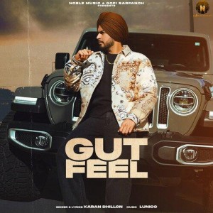 Gut Feel - Karan Dhillon