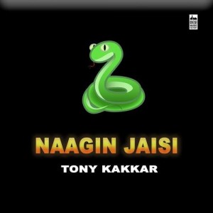 Naagin Jaisi - Tony Kakkar