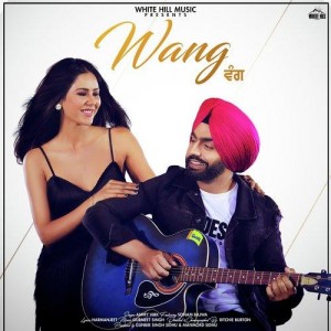 Wang Da Naap  - Ammy Virk