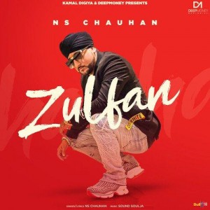 Zulfan - NS Chauhan