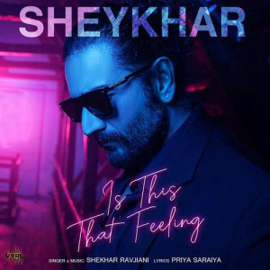 Is This That Feeling - Shekhar Ravjiani