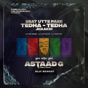 Seat Utte Paee Tedha Tedha - Elly Mangat