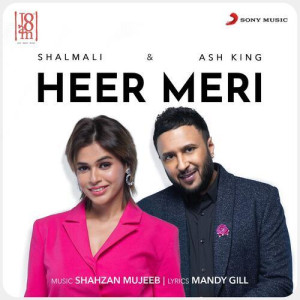 Heer Meri - Ash King