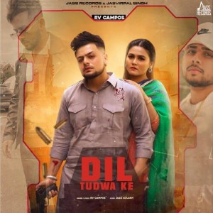 Dil Tudwa Ke mp3 songs