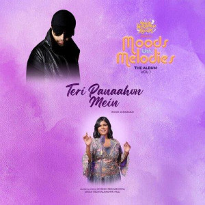 Teri Panaahon Mein - Vejayalak mp3 songs