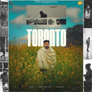 Toronto - Tiger